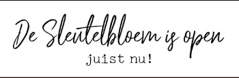 Sleutelbloem is open